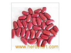 Red Kidney Beans (011图1