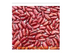 Red Kidney Beans (014图1