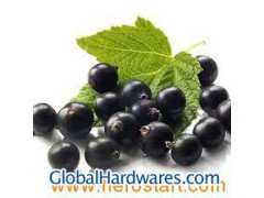 Black Currant Extract- Anthocyanidins图1