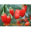 Goji Berry extract