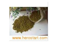 Mung Beans 0092图1