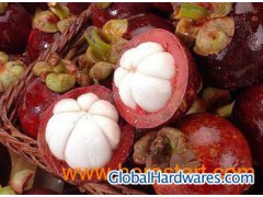 mangosteen plant extract lowest price图1