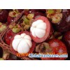 mangosteen plant extract lowest price