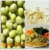 Non_GMO_Northeast_China_Green_Mung_Beans_for_Sprouting