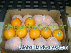 Navel Orange图1