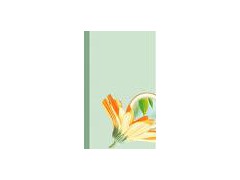 Ashwagandha (Zui Qie) extract图1