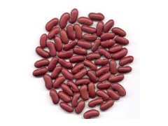 Red Kidney Bean图1
