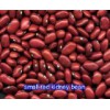 Small Red Kidney Bean