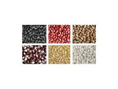 Kidney Bean图1