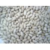 White Kidney Beans (HFB001)