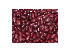 Japanese Red Kidney Bean (A009)图1