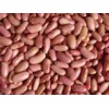 Light Red Kidney Beans (QXB-012)
