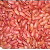 Light Red Kidney Beans