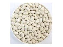 Japanese White Kidney Bean图1