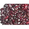 Red Kidney Bean