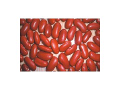 Red Kidney Beans图1