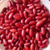 Red Kidney Bean