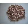 Light Speckled Kidney Bean