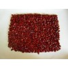 Dark Red Kidney Beans