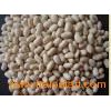 Organic_white_kidney_bean