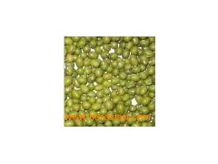 Mung Bean5图1