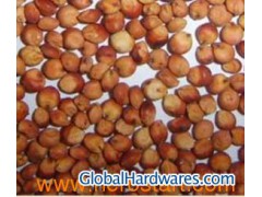 Sell Glutinous Sorghum图1