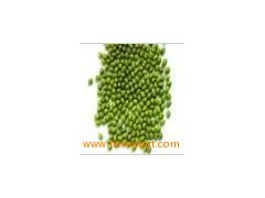 Mung_Bean图1