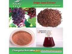 Grape seed Extract(sales06@nutra-max.com)图1