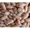 Light speckled kidney beans