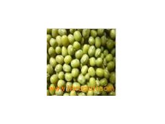 New_Crop_Chines_Green_Mung_Beans图1