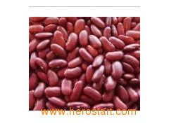 Red Kidney Beans (013)图1