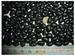 Crop Green Mung Beans (3.5mm) (GMB) Vigna Beans图1