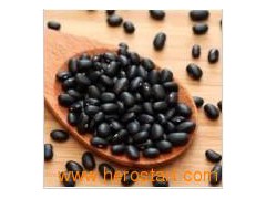 Black Kidney Beans (0101)图1