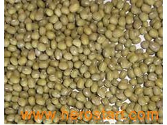 Crop Green Mung Beans (3.5mm) (GMB)图1