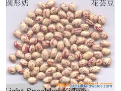 New Crop LSKB Round Shape图1