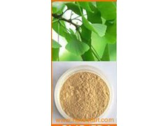 Ginkgo biloba extract图1