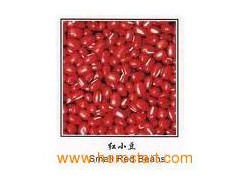Small Red Kidney Beans (005)图1
