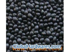 Small Black Kidney Beans (Kernel: Yellow color)图1