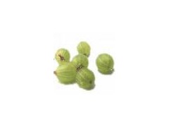 Amla extract powder图1