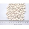 Small White Kidney Beans