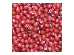 Small Red Beans图1