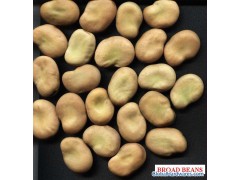 Kidney Bean图1