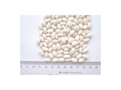 Small White Kidney Beans图1