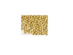 Soya Bean图1