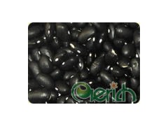 Beans图1