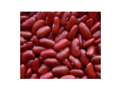 Red Kidney Bean图1