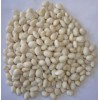 Small White Kidney Beans (2)