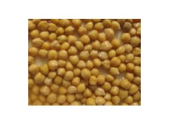Canned Chick Peas图1