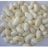 Large White Kidney Beans (3)