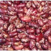 Purple Kidney Beans